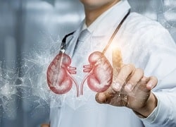 Хвороби нирок – діагностика та лікування у Клініці Медітон на Філатова