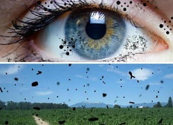 Пливучі плями, яскраві відблиски, мерехтіння, мушки перед очима – лікування у Кривому Розі