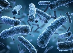 Отруєння продуктами харчування, лікування харчового отруєння у дітей та дорослих